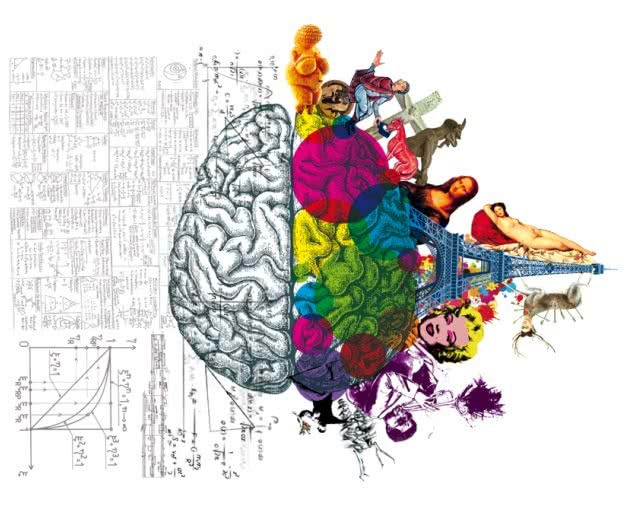 cerebro