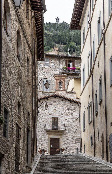 chiesa di San Francesco della Pace chiesa di San Francesco della Pace