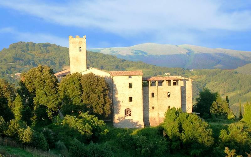 Biscina