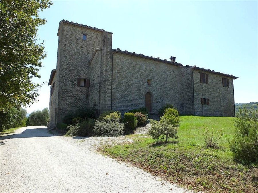 San Pietro in Vigneto
